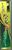 Forest/Geet Flora/Incense Sticks/30g